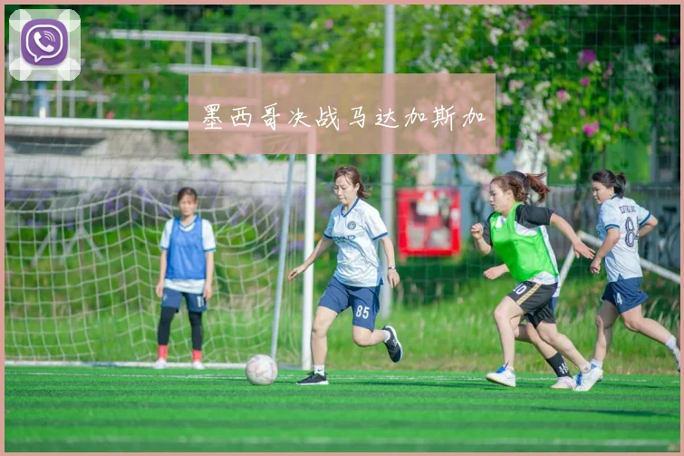 墨西哥决战马达加斯加
