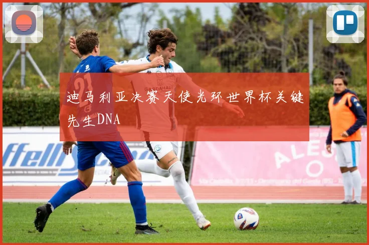 迪马利亚决赛天使光环世界杯关键先生DNA