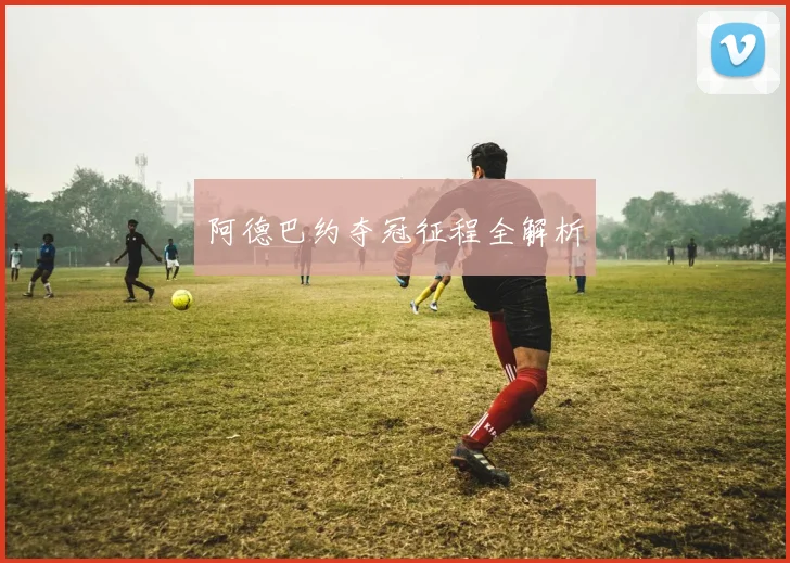 阿德巴约夺冠征程全解析