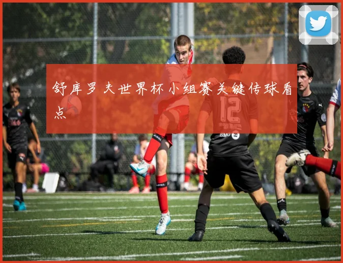 舒库罗夫世界杯小组赛关键传球看点