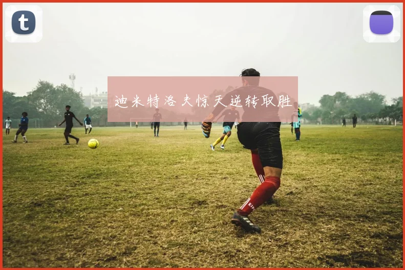 迪米特洛夫惊天逆转取胜