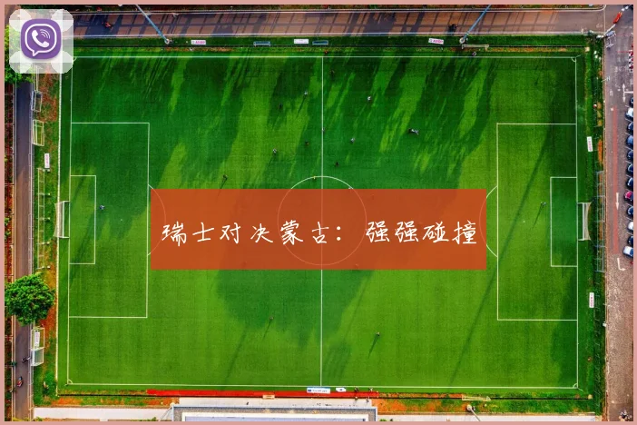 瑞士对决蒙古：强强碰撞