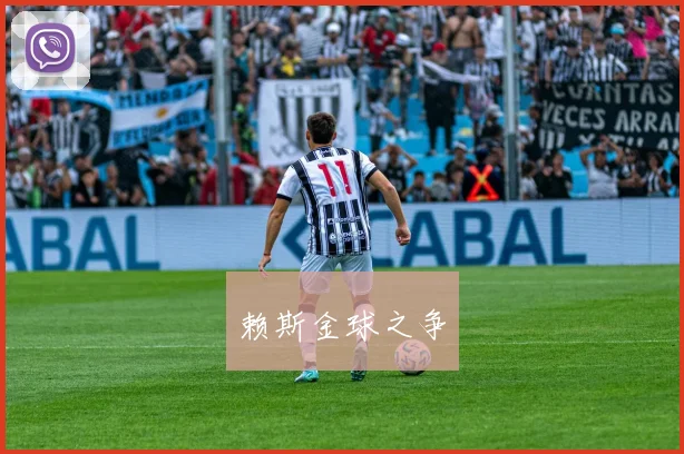 赖斯金球之争