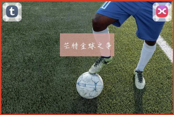 芒特金球之争