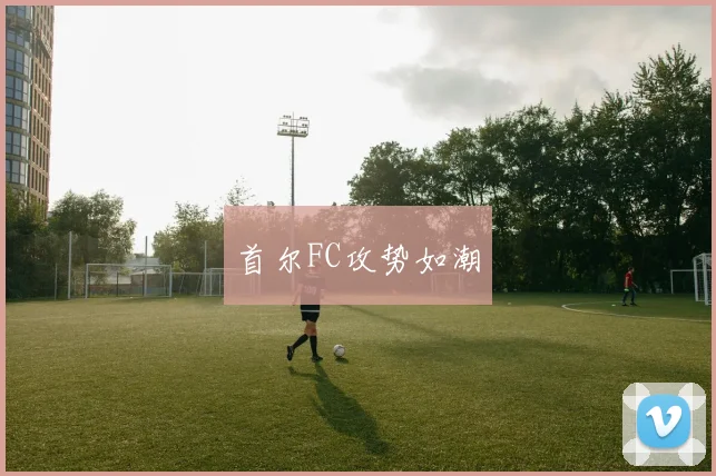 首尔FC攻势如潮