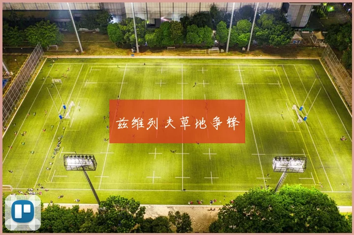 兹维列夫草地争锋