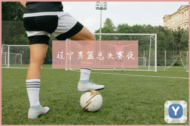 辽宁男篮总决赛夜