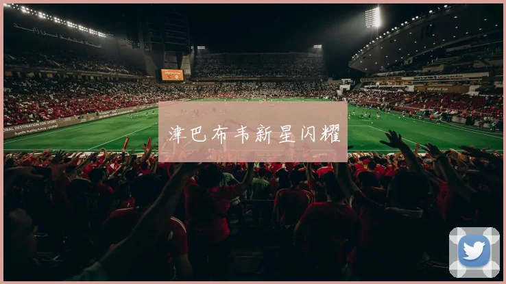 津巴布韦新星闪耀