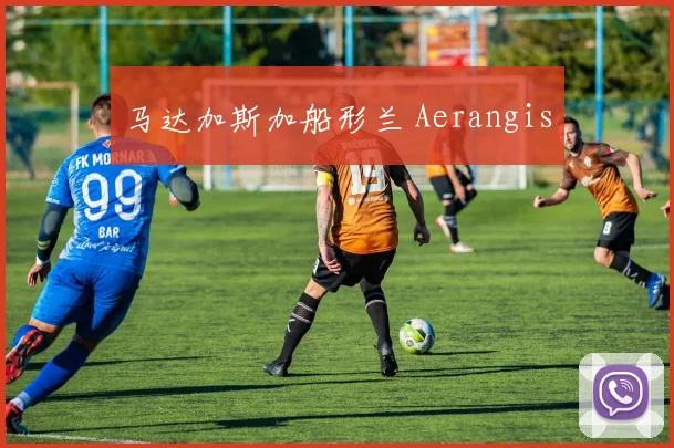 马达加斯加船形兰 Aerangis