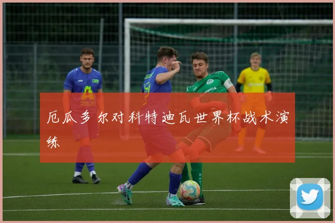 厄瓜多尔对科特迪瓦世界杯战术演练