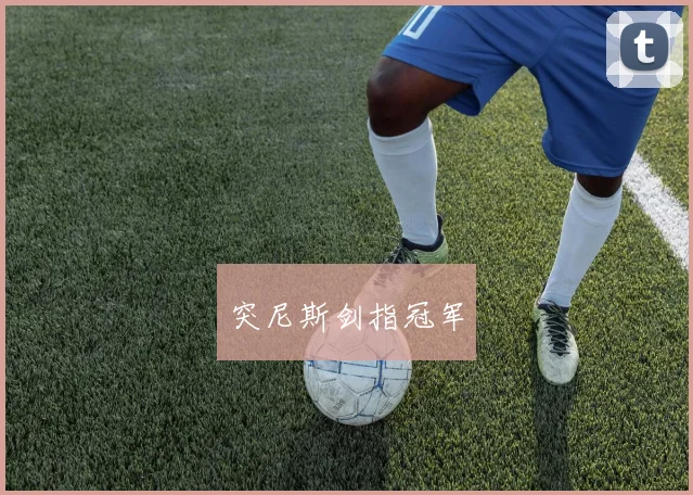 突尼斯剑指冠军