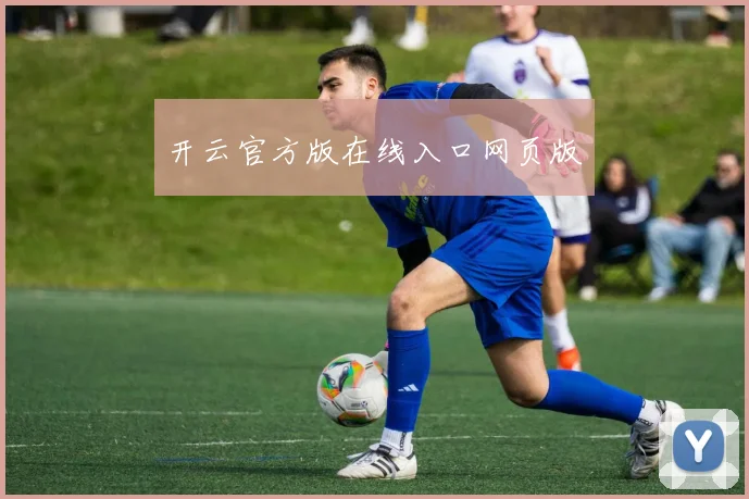 开云官方版在线入口网页版