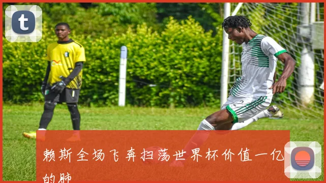 赖斯全场飞奔扫荡世界杯价值一亿的肺