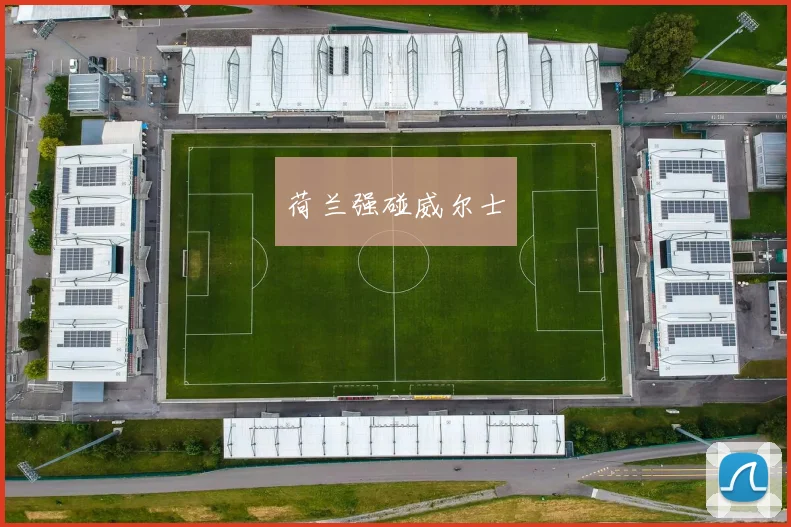 荷兰强碰威尔士