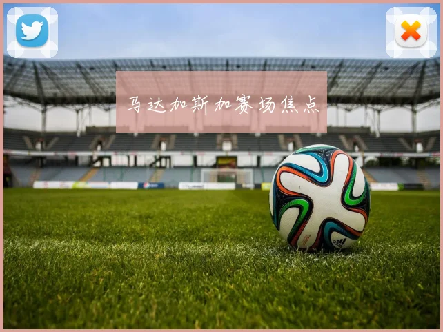 马达加斯加赛场焦点