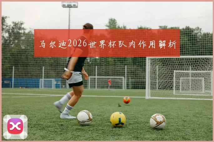 马尔迪2026世界杯队内作用解析