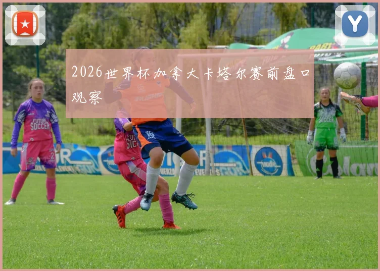 2026世界杯加拿大卡塔尔赛前盘口观察